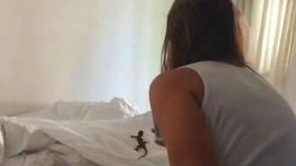 Геккон, дай-ка я тебя сфотографирую! - смотреть видео (0:15)