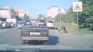 Крутое пике в люк - смотреть видео (0:10)