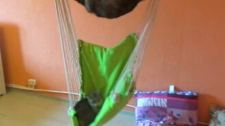 Это мой гамак! - смотреть видео (1:05)