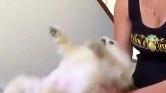 Собака-доверяка - смотреть видео (0:06)