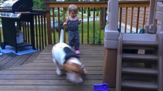 Пёс заигрывает с девочкой - смотреть видео (0:28)