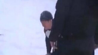 Прыгнул на лобовое стекло - смотреть видео (0:53)