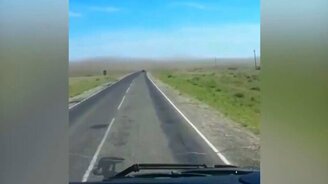 Саранча нашла на Дагестан - смотреть видео (0:55)