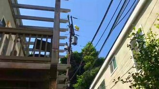 Шарик налетел на провода - смотреть видео (0:22)