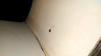 Чудо-юдо на стене - смотреть видео (0:41)