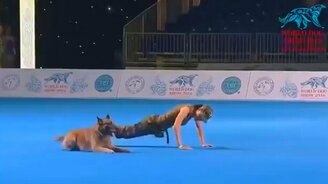 Красивое выступление девушки с собакой - смотреть видео (5:01)