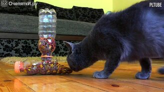 Автоматическая кормушка для кошки своими руками - смотреть видео (1:24)