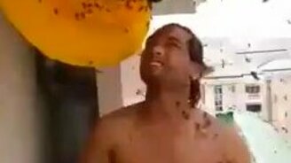 Пчёлы - не помеха для сбора мёда голыми руками - смотреть видео (1:24)