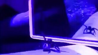 Я хорош, так хорош! - смотреть видео (0:06)