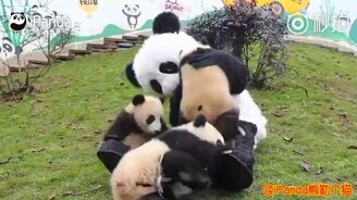 Одна из лучших работ в мире - смотреть видео (1:12)