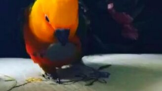 Эй, это моя монетка! - смотреть видео (0:06)