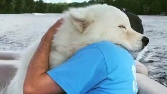 Обнимите своего питомца! - смотреть видео (1:17)