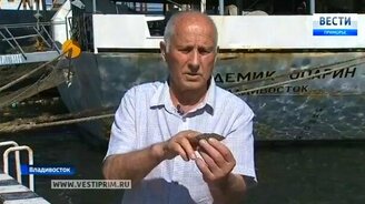 Уникальный артефакт из Охотского моря - смотреть видео (2:08)