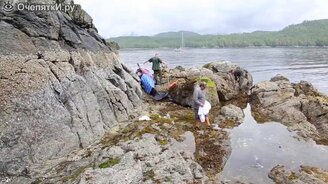 Десятка зверей, которым очень повезло - смотреть видео (5:05)