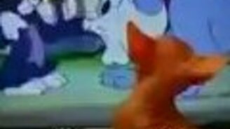 Лысый котёнок и мультик - смотреть видео (1:11)