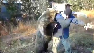 Человек против медведя - смотреть видео (8:02)