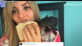 Смачные приколы с животными - смотреть видео (9:20)