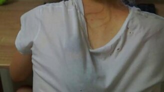 Попугай играет в прятки - смотреть видео (0:41)