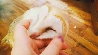 Совушка балдеет от ласки - смотреть видео (0:56)