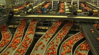 Яблочный конвейер - смотреть видео (13:20)