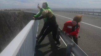 Люди против силы порывистого ветра - смотреть видео (1:34)