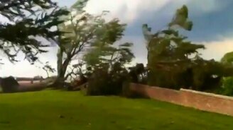 Вот так ветрище! - смотреть видео (0:36)