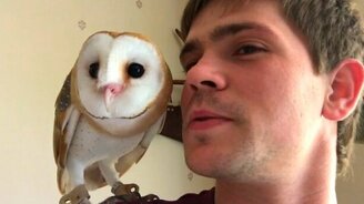 Общительная сова целуется - смотреть видео (1:11)