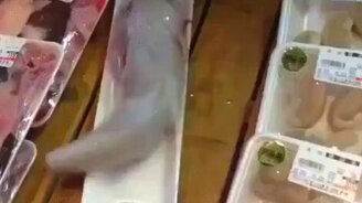 Эта рыбка действительно свежая! - смотреть видео (0:05)