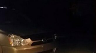 Непростой поединок с мотыльком - смотреть видео (0:33)