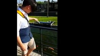 Случайно снёс фонарь - смотреть видео (0:21)