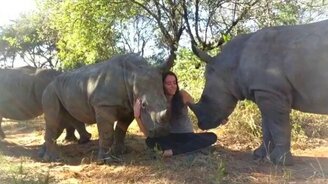 Носорожик жаждет женской ласки - смотреть видео (0:25)