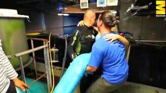 Современная русалка - смотреть видео (2:10)