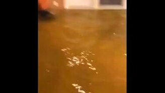 Рыбалка в собственной гостиной - смотреть видео (0:31)