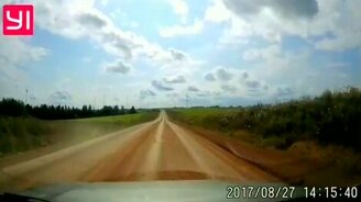 Дети, лось, лось! - смотреть видео (0:16)