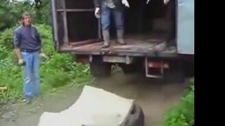 Чудные и нелепые курьёзы с грузчиками - смотреть видео (2:16)