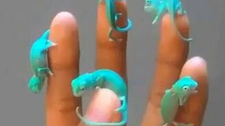 Хамелеончики на руке - смотреть видео (0:03)