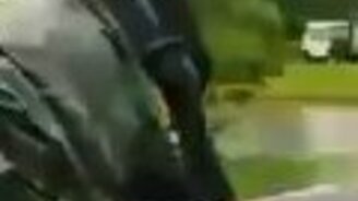 Спасение карпа после урагана - смотреть видео (0:36)