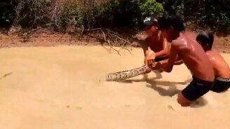 Маленькие камбоджийцы против анаконды - смотреть видео (2:20)