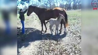 Слишком сильно чихнул - смотреть видео (0:08)