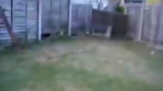 Добряки спасли лисёнка - смотреть видео (2:04)