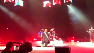 Гитарист до мозга костей - смотреть видео (0:58)