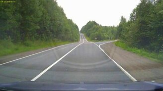 Медвежонок-пешеход - смотреть видео (0:25)