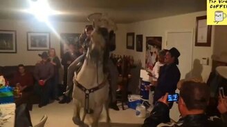 Веселье по-мексикански - смотреть видео (0:41)