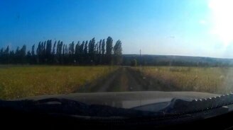 Невозмутимость высшего уровня - смотреть видео (0:25)