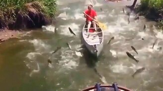 Вот так рыбалка вышла! - смотреть видео (1:20)