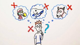 Что, если все люди исчезнут на Земле? - смотреть видео (5:00)