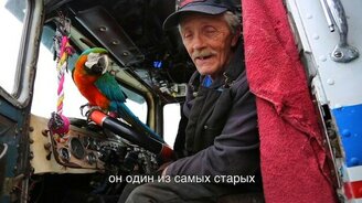 Дед-дальнобойщик с попугаем - смотреть видео (4:09)