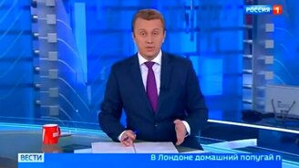 Попугай-покупатель - смотреть видео (0:47)