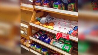 Голубь-хулиган - смотреть видео (0:10)