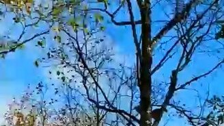 Как мы болели за белку - смотреть видео (1:03)